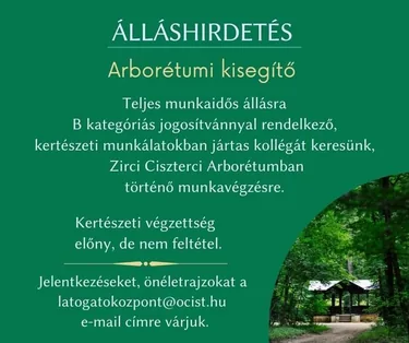 Plakát: