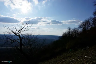 Képek: Nagy Ferenc