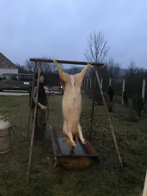 Fotók: