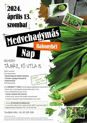 Plakát