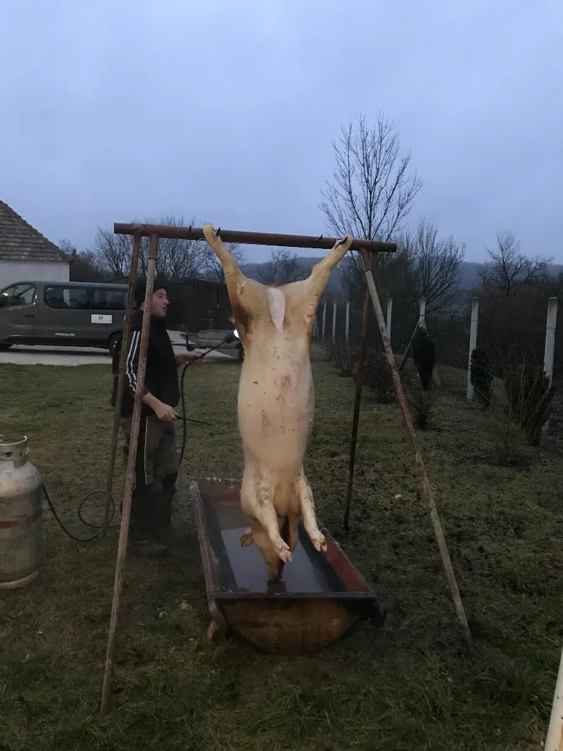 Fotók: