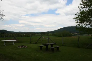 Galéria