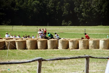 Bakonyi Vágta 2019