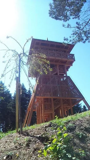 Fotók