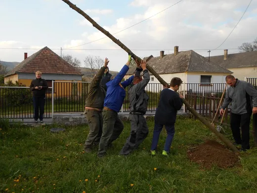 'Májusfa állítás beszámolója' cikk borítóképe