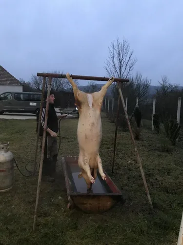 Fotók: