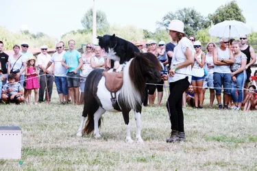 Bakonyi Vágta 2019