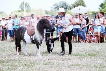 Bakonyi Vágta 2019