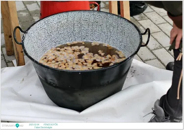 Falusi Disznóvágás Pénzesgyőrben