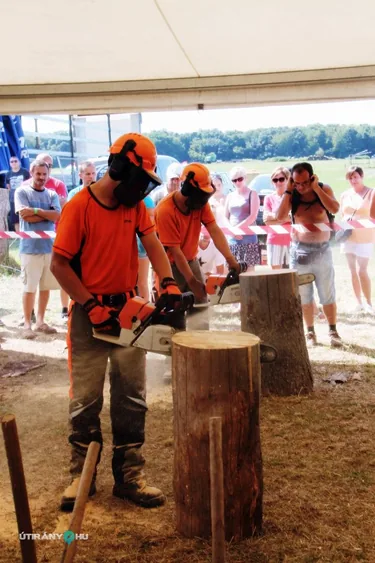 Bakonyi Vágta 2019