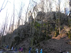 Téli Erdei Kirándulás