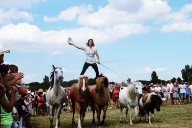 Bakonyi Vágta 2019