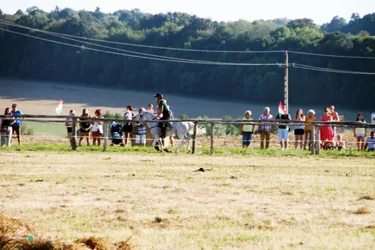 Bakonyi Vágta 2019