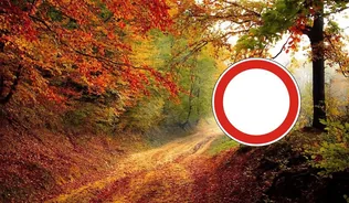 Bakonyi erdőt látogatók figyelmébe! borítóképe