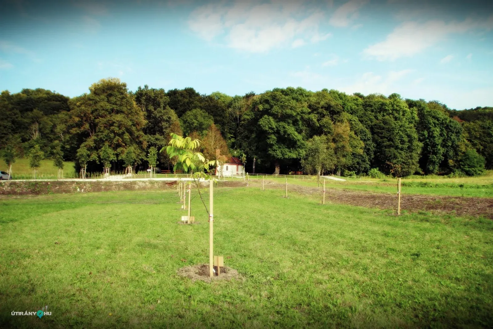 Szent-kút 2019