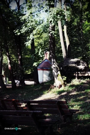 Szent-kút 2019
