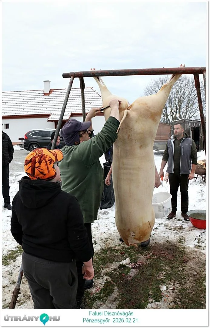 Képek