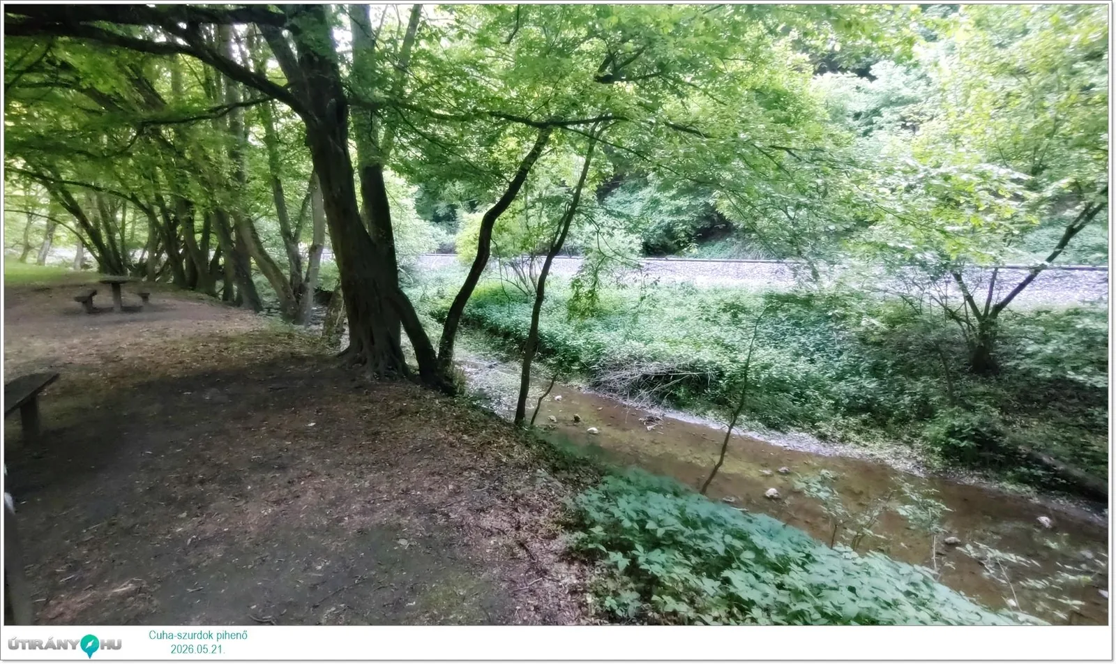 Képek