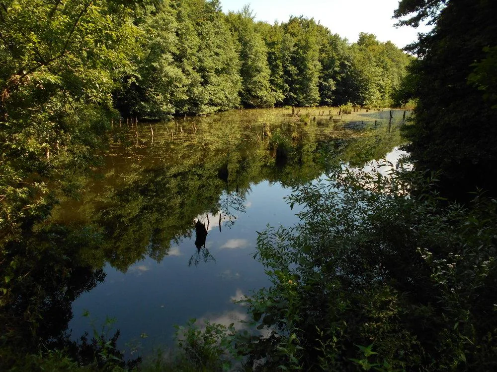 Képek