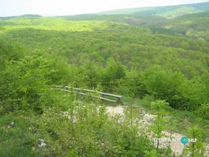 Galéria