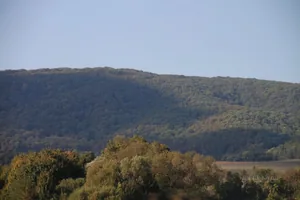 Fotó:Luiland