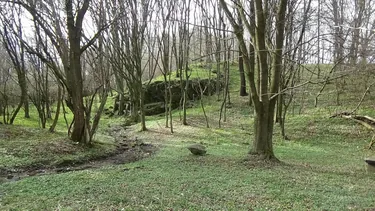 Galéria