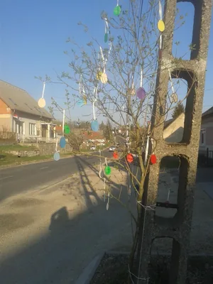Képek