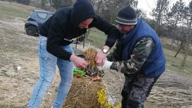 2022. 04.02. A közös réten
