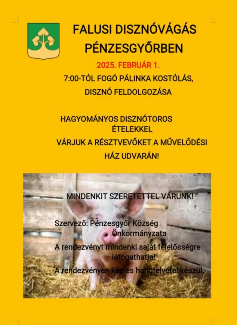 Plakát