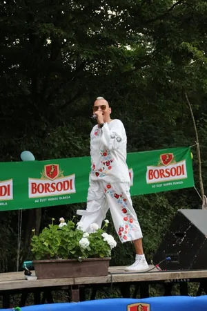 Falunap képek 2017