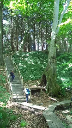 Fotók