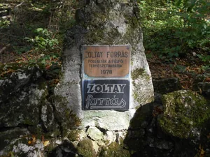 Fotók: