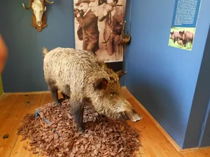 Képek