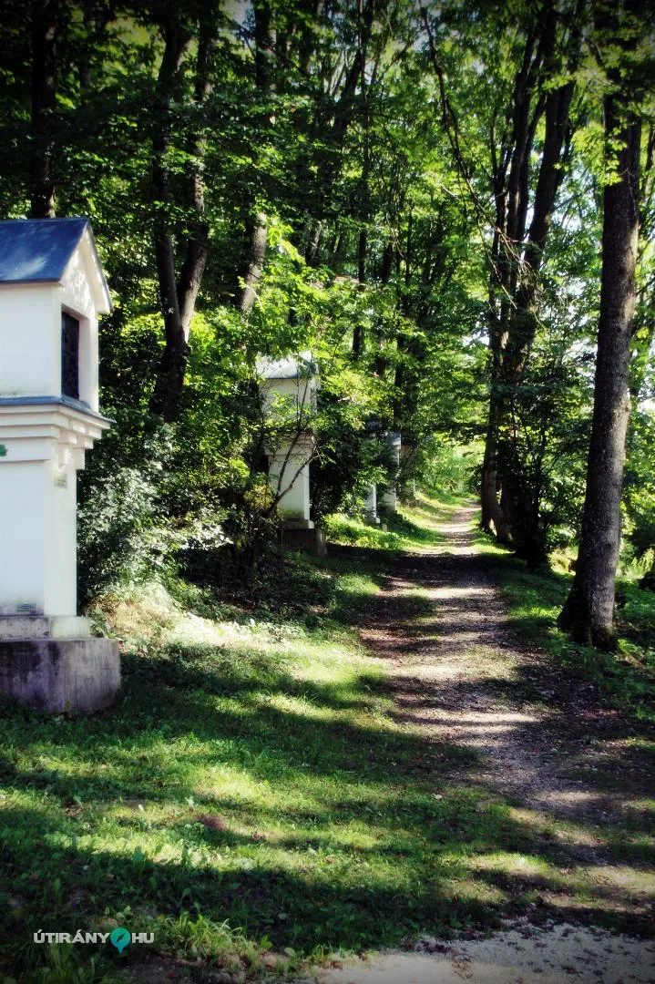 Szent-kút 2019