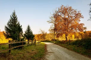 Pénzesgyőr