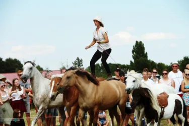 Bakonyi Vágta 2019