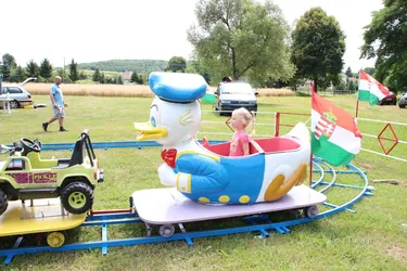 Falunap képek 2017