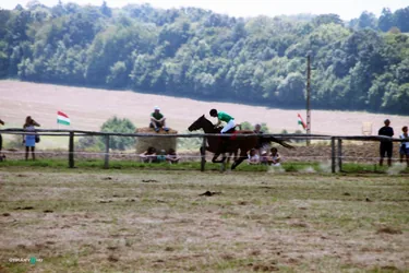 Bakonyi Vágta 2019