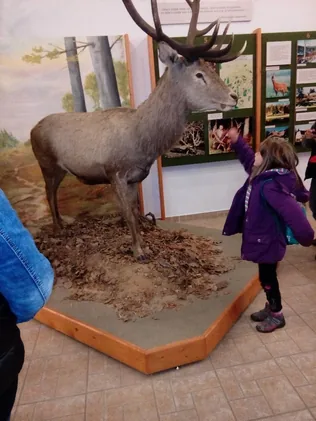 Kirándulás Lentibe borítóképe