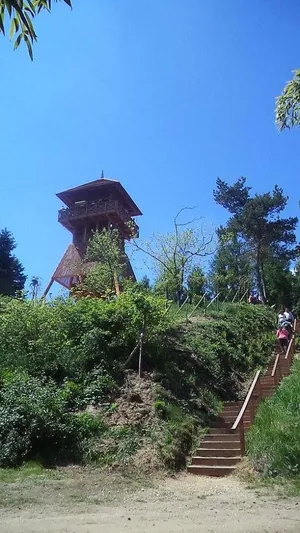 Fotók