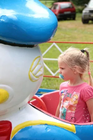 Falunap képek 2017
