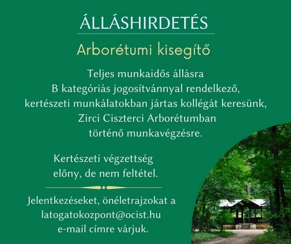 Plakát: