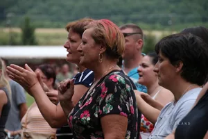Falunap képek 2017