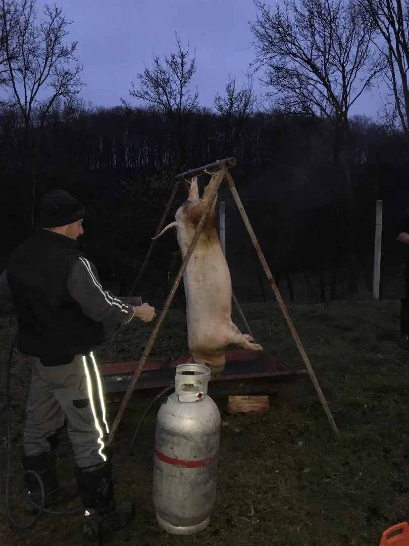 Fotók:
